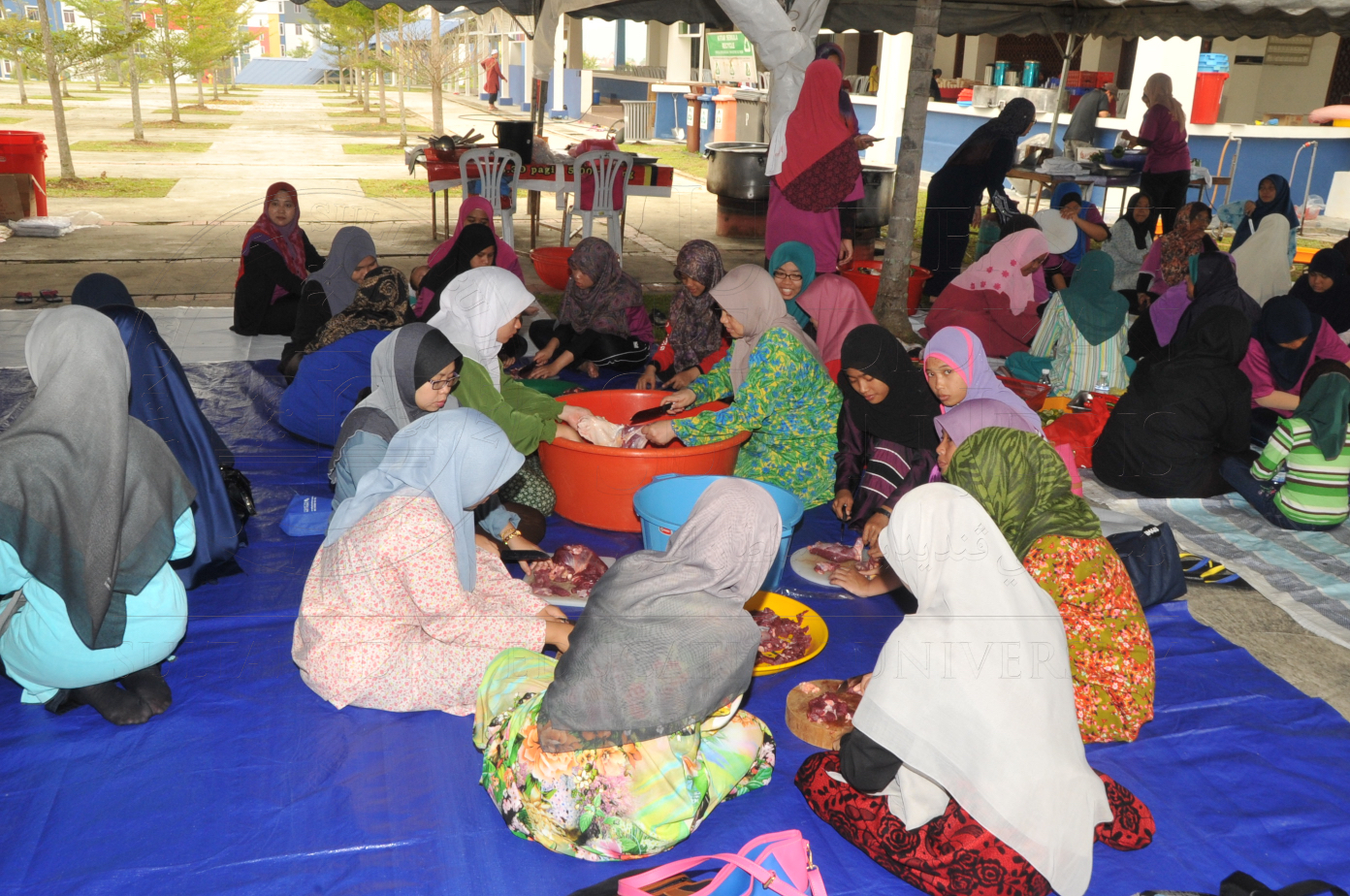 PRO15 150 KORBAN HAS 6876